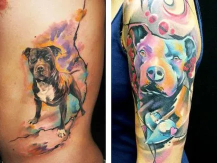 Tatuaj Pitbull - valoare desene sau modele tatuaj și fotografii