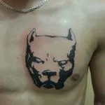 Pit Bull tattoo jelenti fotók és vázlatok a legjobb