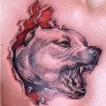 Pit Bull tatuaj care înseamnă fotografii și schițe de cele mai bune