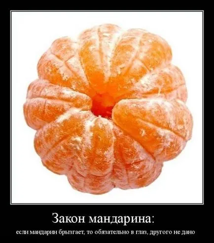 Сега знам английски (demotivators за 28ми декември 2011)