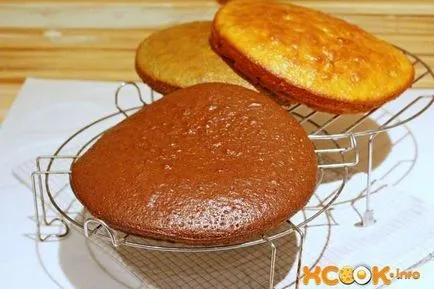 Női torta - a recept egy fotót, hogyan kell főzni otthon