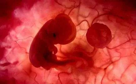 ДНК на човешки ембрион за първи път заменя ген, отговорен за болестта - Преглед на финансовото състояние