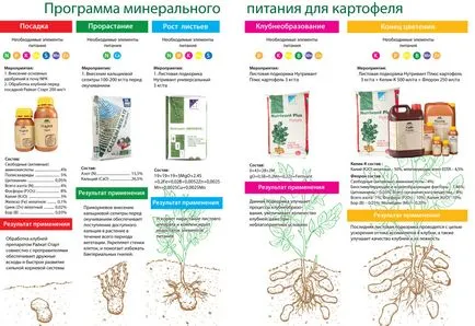 Тор за картофи по време на засаждането - изчисление, избор на торове, което прави правилата!