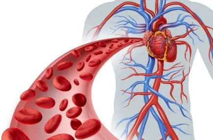 Efectele alcoolului asupra examinării ECG