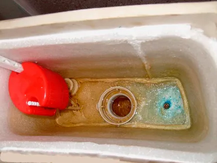 Всички начини за премахване на конденз върху тоалетната чиния, вашата къща кадър