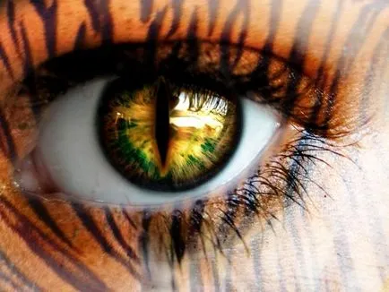 Ține-mă, talisman mea - Tiger Eye