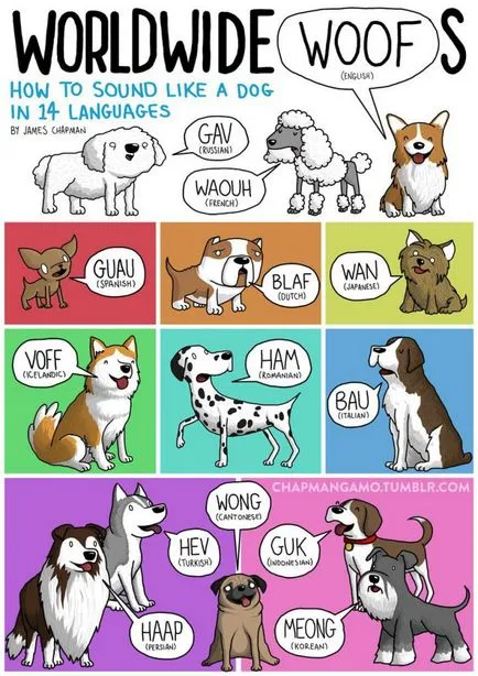 Nyelv állatok különböző országokban