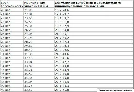 Care este importanta placentei în organism care adăpostește un copil sănătos