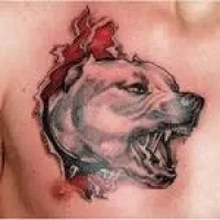 Înțeles tatuaj pit bull