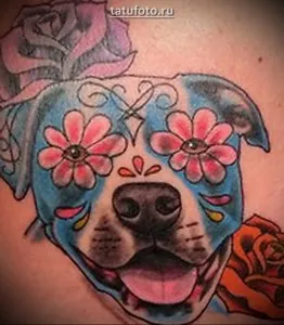 Înțeles tatuaj pit bull terrier sens, istorie