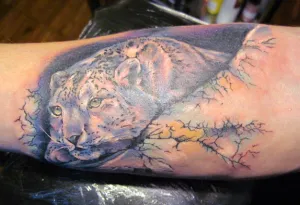 Înțeles leopard tatuaj zăpadă, informații despre tatuaje