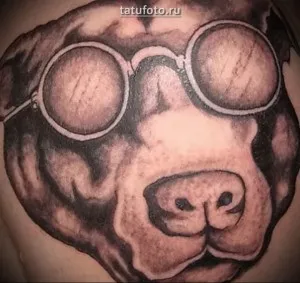 Înțeles tatuaj pit bull terrier sens, istorie