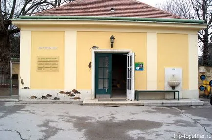 Zoo Bécs télen, személyes tapasztalat