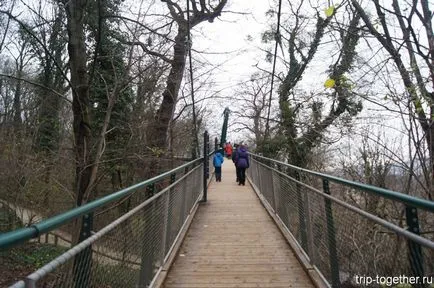 Zoo Bécs télen, személyes tapasztalat