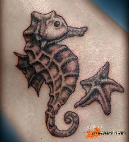 Semnificație Seahorse tatuaj - fotografii tatuaj