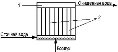 биологическо почистване