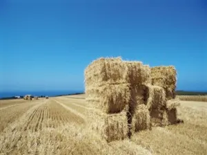 Mi a szalma Blocks szalma ház saját kezűleg, épület blog