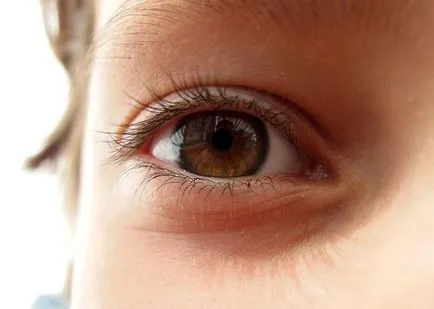 Day2day, как да се поддържа здравето на очите си