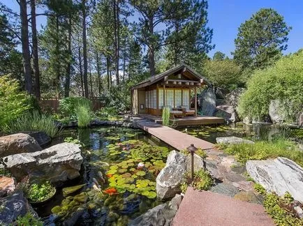 Pond design frumos și o grădină cabana pe fotografie iaz