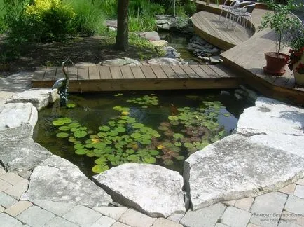 Pond design frumos și o grădină cabana pe fotografie iaz