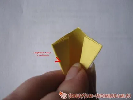 Цвете Kusudama дърво, майсторски клас със собствените си ръце