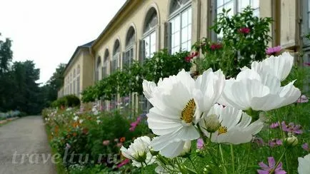 Potsdam látnivalók - mit kell látni és hol megy két napig