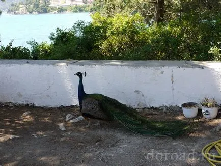 Atracții Corfu, fotografii și de revizuire, este timpul road-doroad