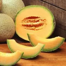 Melon szabadföldi termesztés fajta leszállási tulajdonságai, gondoskodás finomságok