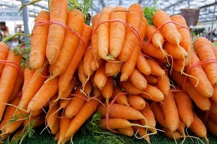 Отглеждане моркови в оранжерията, на парникови