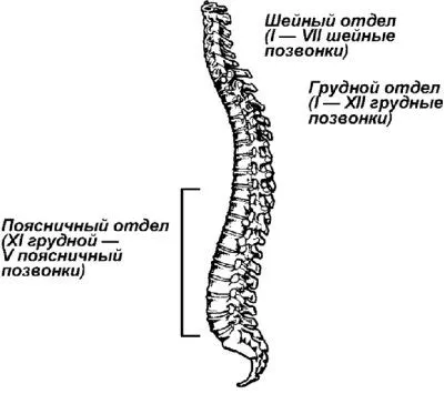 SHmorlja hernie, hernie intervertebrale SHmorlja - tratament, simptome, fotografii