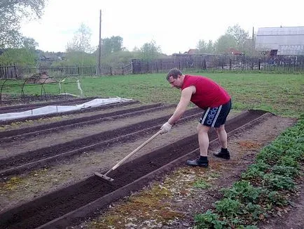 Paturi Mitlayderu de propriile lor mâini