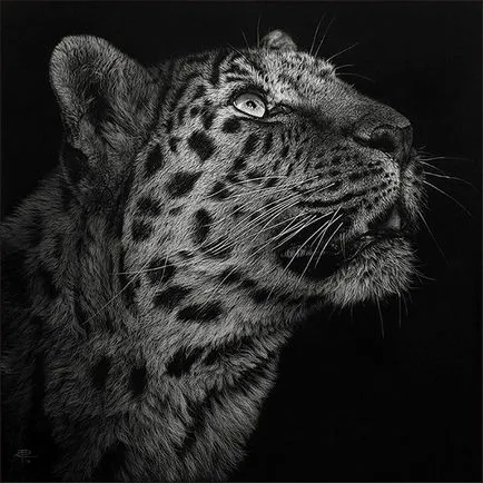 Scratchboard - рисунка машини за деца