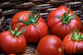 Care sunt cele mai bune soiuri de tomate în 2016 comentarii