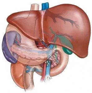 Cum pentru a curăța indicațiile Ovesol hepatice pentru utilizare, compoziție - trăi sănătos