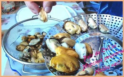 Főzni kagyló fagyasztva, videók és fotók tenger receptek