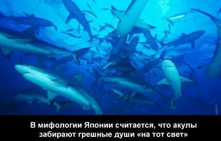 Какво риба в японската легенда се е превърнал в символ на злото и смъртта