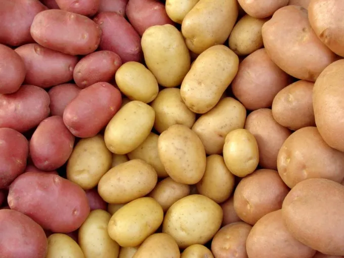 Как да определите сорта картофи око - холандски сортове картофи - храна