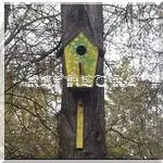 Cum să picteze un Birdhouse - fotografii și idei despre cum să-l îmbunătățească