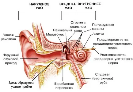 Как да се предотврати възпаление на средното ухо при деца - ефективни методи за превенция