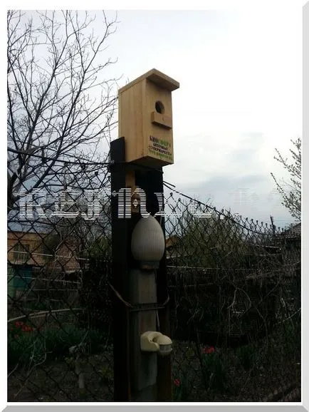 Cum să picteze un Birdhouse - fotografii și idei despre cum să-l îmbunătățească