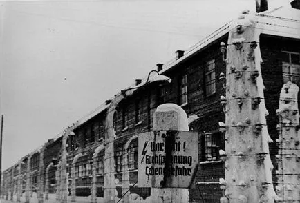 Amintiri de la Auschwitz (14 poze) - triniksi