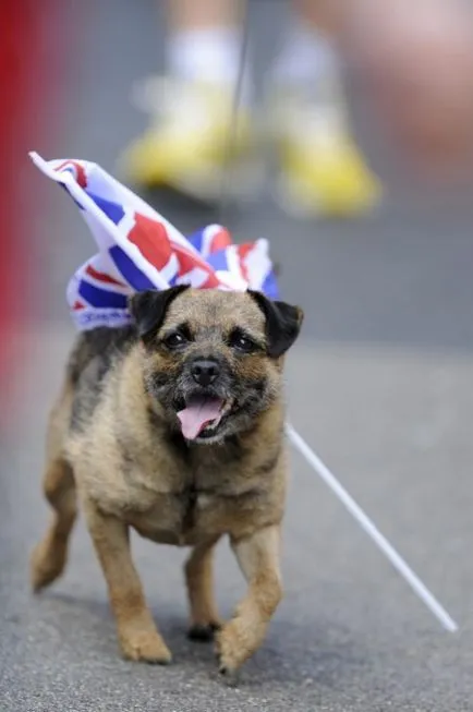 Unokája Elizabeth II házas