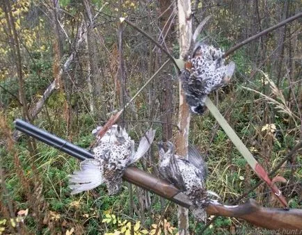 Cum de a face capcane pentru păsări