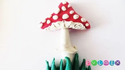 etape plastilină agaric orbi