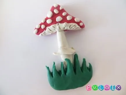 etape plastilină agaric orbi