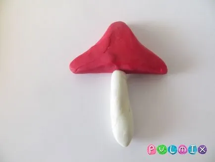 etape plastilină agaric orbi