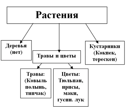 Hogyan lehet a kínálat kapcsolási rajz jellemző sztyepp zóna