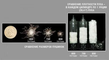 Как да изберем сако Изолирани, Омагьосан ден