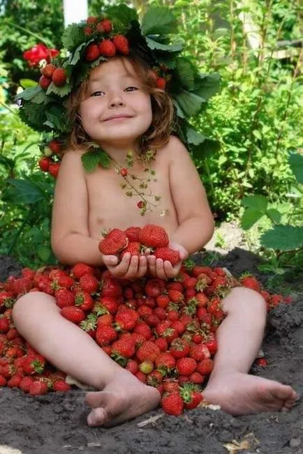 Защо мечтата на ягоди червени и узрели, купува, събират или сложи плодове