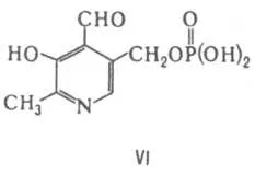 Kofermenty - l